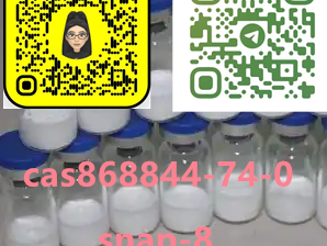868844-74-0 snap-8