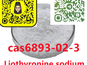 6893-02-3 T3 (Liothyronine sodium)