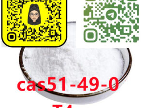 51-49-0 （T4）Thyroxine