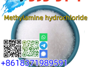 Good quality CAS 593-51-1 Methylamine hydrochlorie