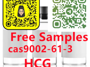 9002-61-3 HCG