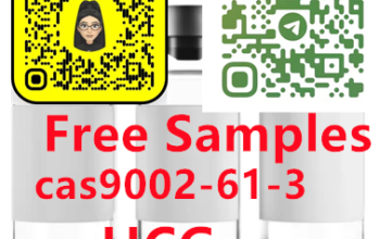 9002-61-3 HCG