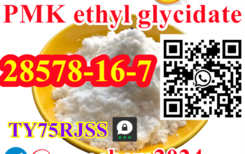PMK Ethyl Glycidate CAS 28578-16-7 PMK Powder/Oil