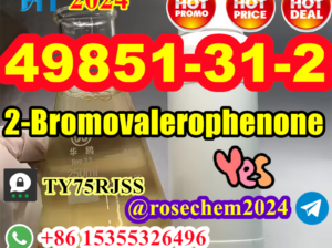 2-Bromovalerophenone #49851-31-2 from 15355326496