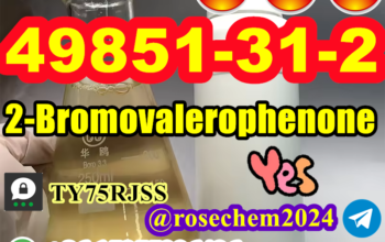 2-Bromovalerophenone #49851-31-2 from 15355326496