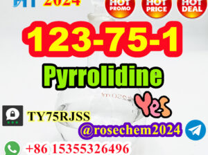 Pyrrolidine #123-75-1 Low Price from 8615355326496