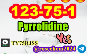 Pyrrolidine #123-75-1 Low Price from 8615355326496