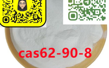 62-90-8 Nandrolone PhenylPropionate