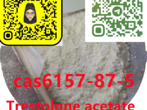 6157-87-5 Trestolone acetate