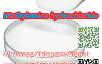 CAS 593-51-1 Methylamine hydrochloride LT-S9151 go