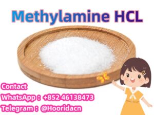 Fast and Safe Shipping Methylamine hcl CAS 593-51-