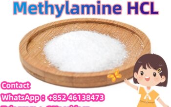 Fast and Safe Shipping Methylamine hcl CAS 593-51-