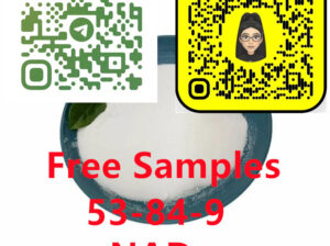 53-84-9 Inicotinamide adenine dinucleotide