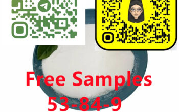 53-84-9 Inicotinamide adenine dinucleotide