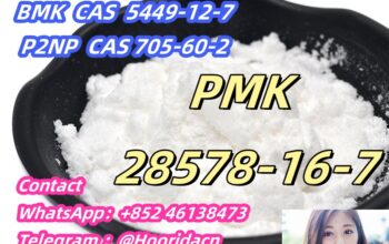 Stock supply CAS 28578-16-7 PMK oil/powder