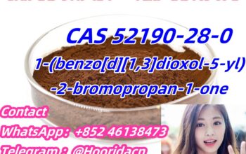 Chinese Warehouse Supply CAS 52190-28-0