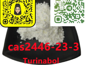 2446-23-3 Chlordehydromethyltestosterone,
