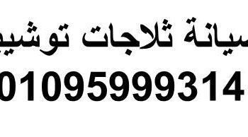 بلاغ صيانة ثلاجات توشيبا مدينة نصر 01010916814