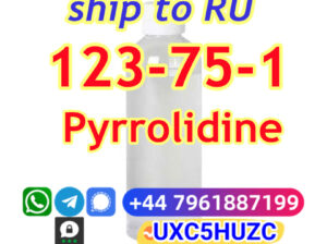 Pyrrolidine cas 123-75-1 Safe delivery to Russia