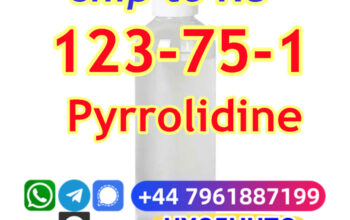 Pyrrolidine cas 123-75-1 Safe delivery to Russia