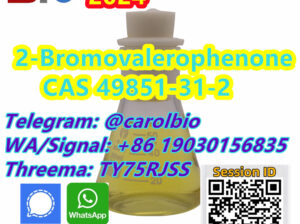 CAS 49851-31-2 2bvp +8619030156835