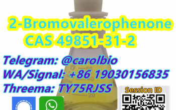 CAS 49851-31-2 2bvp +8619030156835