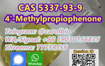 CAS 5337-93-9 +8619030156835