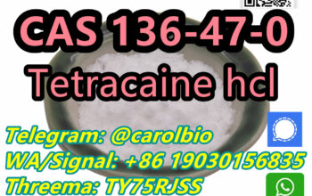 CAS 123-75-1 Pyrrolidine +8619030156835