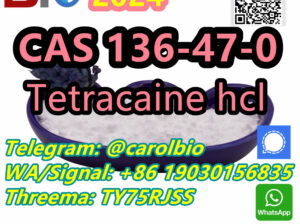 CAS 136-47-0 Tetracaine +8619030156835