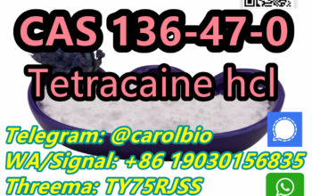 CAS 136-47-0 Tetracaine +8619030156835