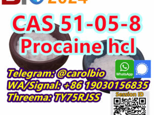 CAS 51-05-8 Procaine HCL +8619030156835