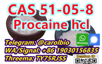 CAS 51-05-8 Procaine HCL +8619030156835