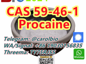 CAS 59-46-1 Procaine +8619030156835