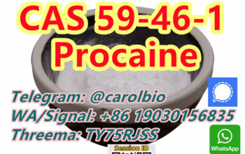 CAS 59-46-1 Procaine +8619030156835