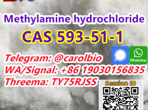 CAS 593-51-1 +8619030156835