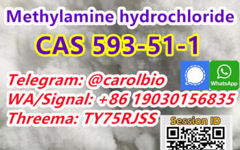 CAS 593-51-1 +8619030156835