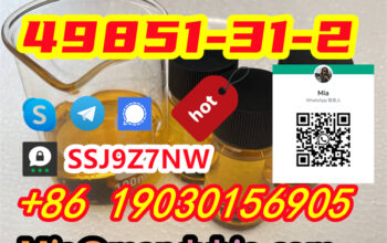 49851-31-2 Sale Pick-up +8619030156905