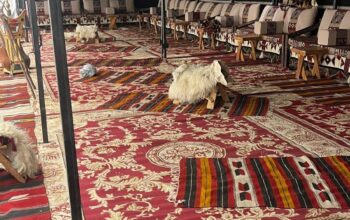 تأجير جلسات شعبية ,كنب ملكي ,طاولات وكراسي