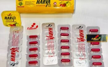 كبسول إنقاص الوزن هارفا جولد بلس