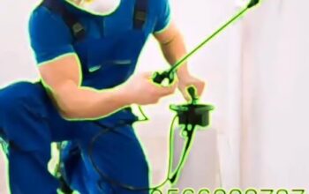 شركة مكافحة حشرات الرياض 0566222737