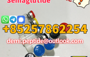 Weight loss Semaglutide CAS 910463-68-2 Bodybuildi