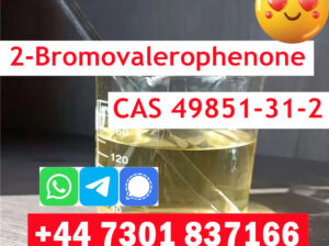 2-Bromovalerophenone CAS 49851-31-2