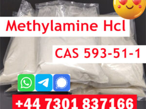 Methylamine HCL CAS 593-51-1 for sale