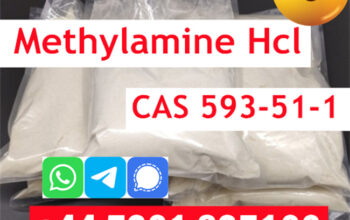 Methylamine HCL CAS 593-51-1 for sale