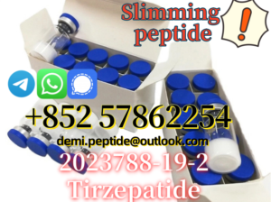 Top Quality Raw Peptide Tirzepatide CAS 2023788-19