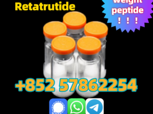 Top Quality Raw Peptide Retatrutide CAS 2381089-83