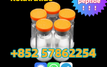 Top Quality Raw Peptide Retatrutide CAS 2381089-83