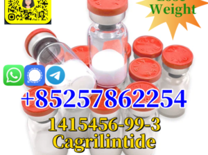 Customized Peptides GLP Cagrilintide USA Factory P