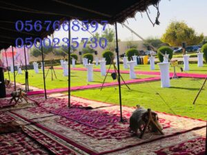 تأجير كنب جلد أبيض ، طاولات طعام مع كراسي