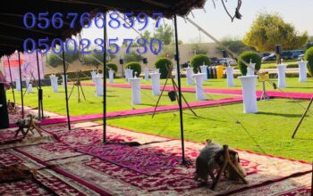 تأجير كنب جلد أبيض ، طاولات طعام مع كراسي